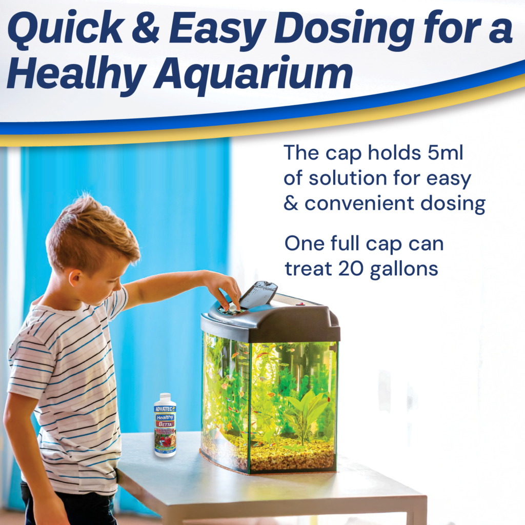 Photo inspiration: Aquarium Water Conditioner Advertising Reference: Healthy Betta Aquarium Conditioner
