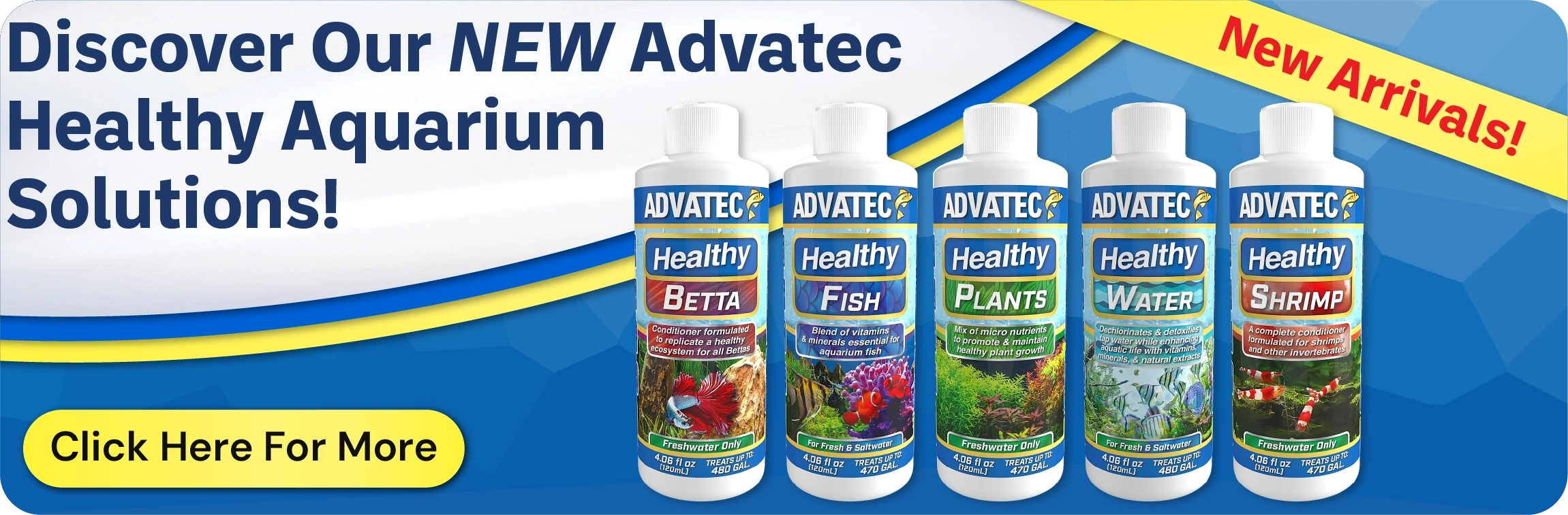 Solution-Desktop-Home-WebPST