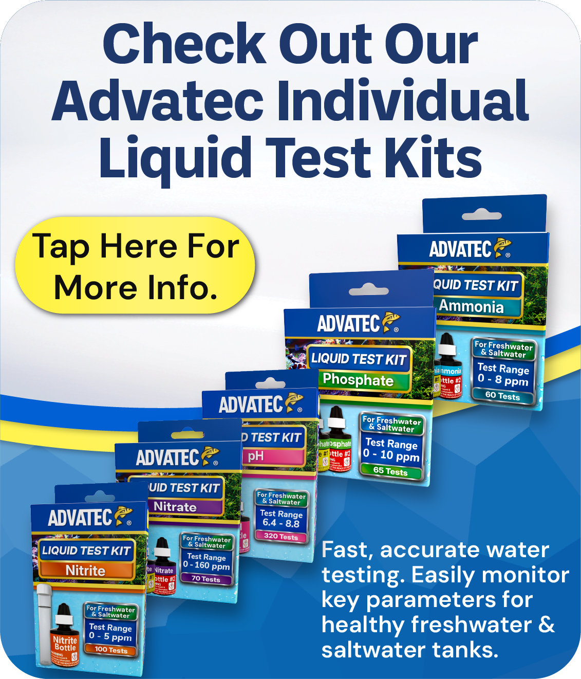 single LTK home page bannermobile